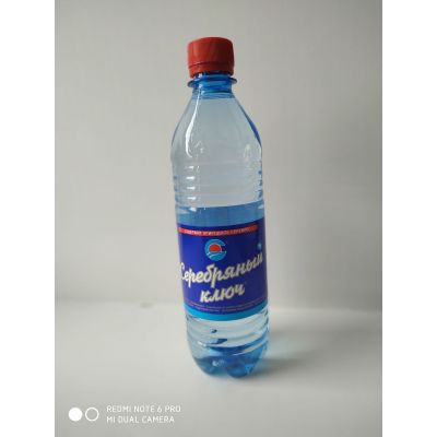Вода СЕРЕБРЯНЫЙ КЛЮЧ, 500 мл