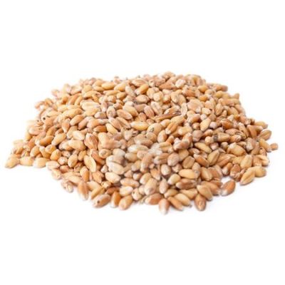 Пшеница для проращивания, 500 г