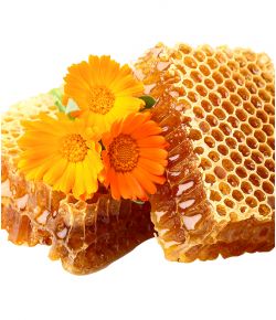  Пчелопродукты